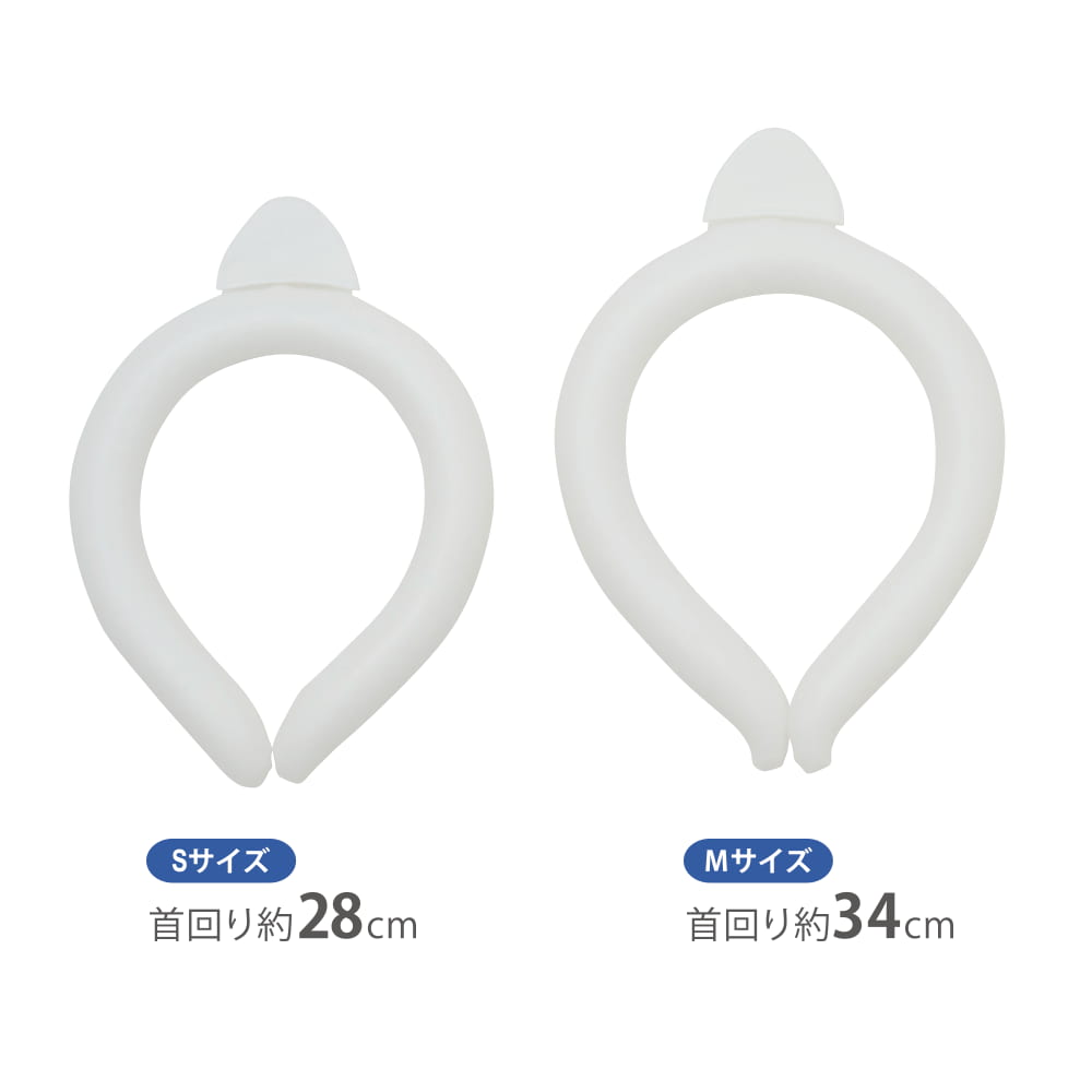 シロ&グラデーション
